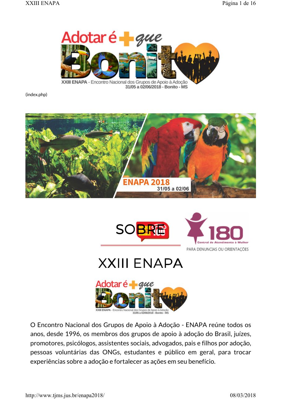 Registro visual de Programação oficial — XXIII ENAPA 2018